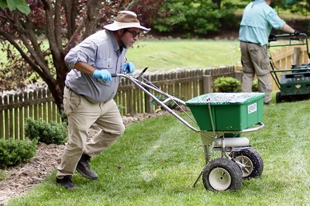 TLC lawn technician fertilizing yard