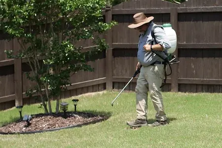 spraying weeds in back yard