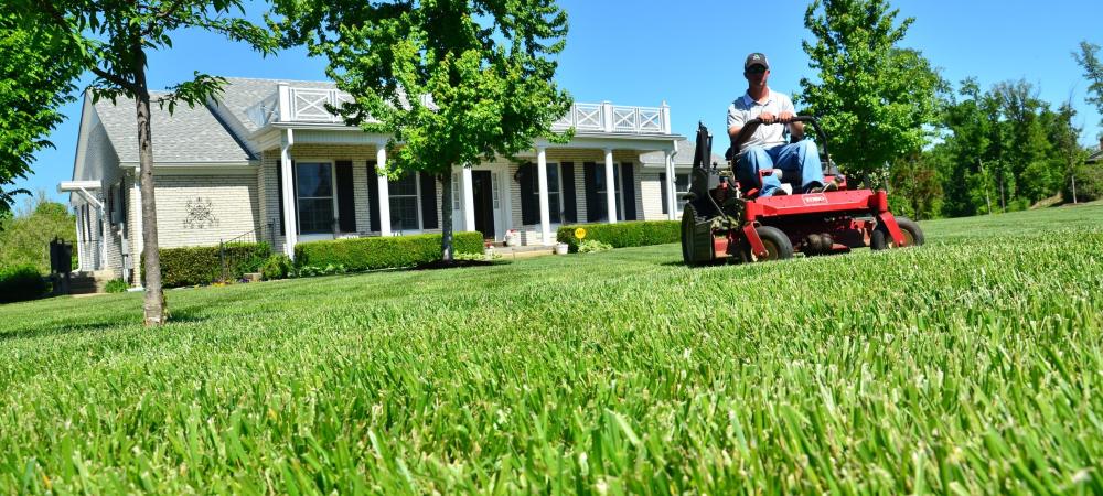 person on a riding mower